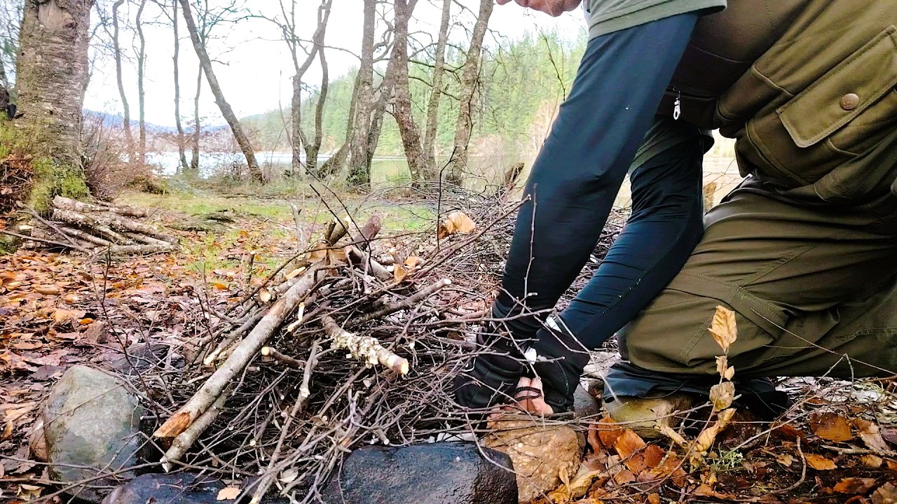 Loch Ard Forest Camping in Autumn 🍂 | Overnight Campfire & Nature Sounds (8 Hours for Sleep)