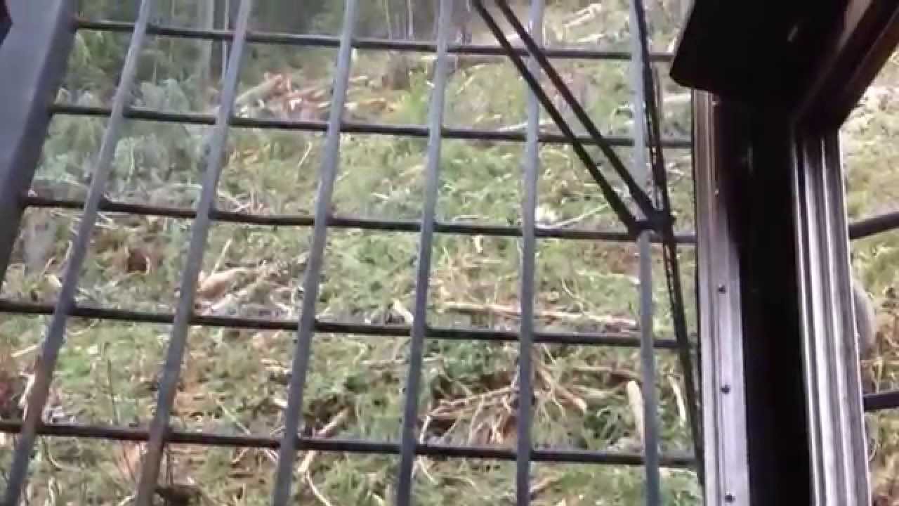 Logging at its best