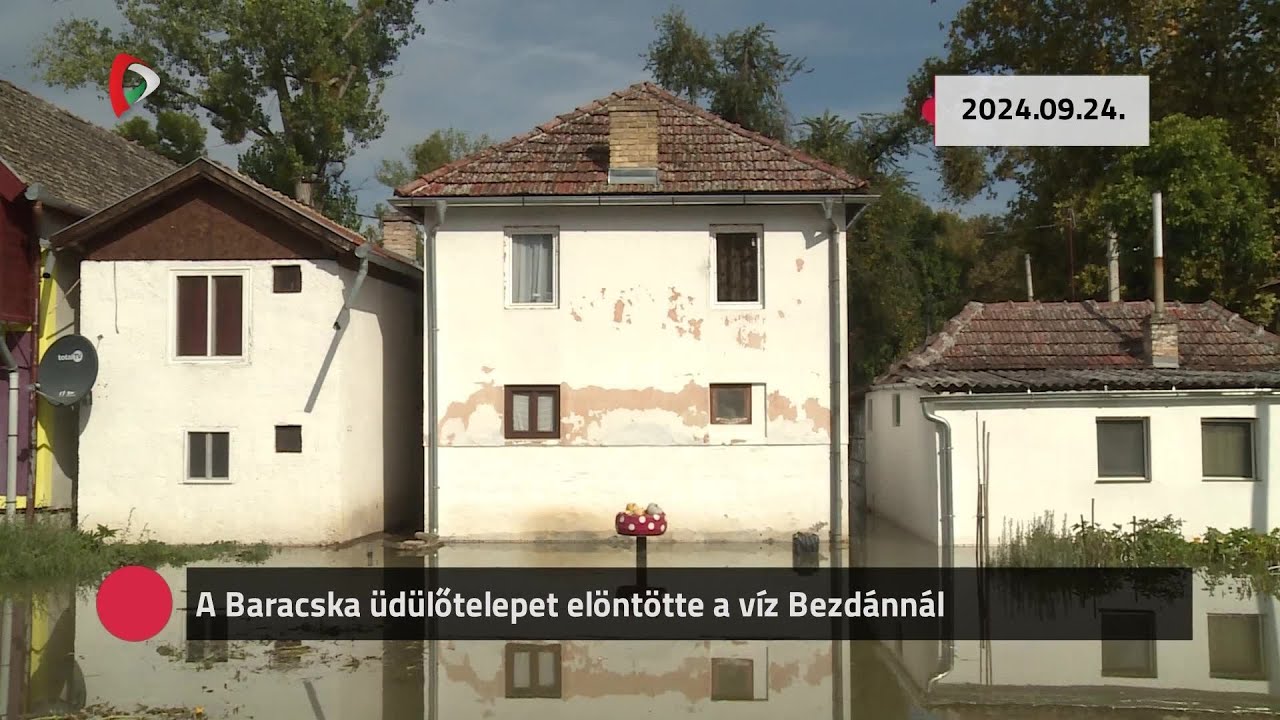 Kommentár nélkül – 2024.09.24.