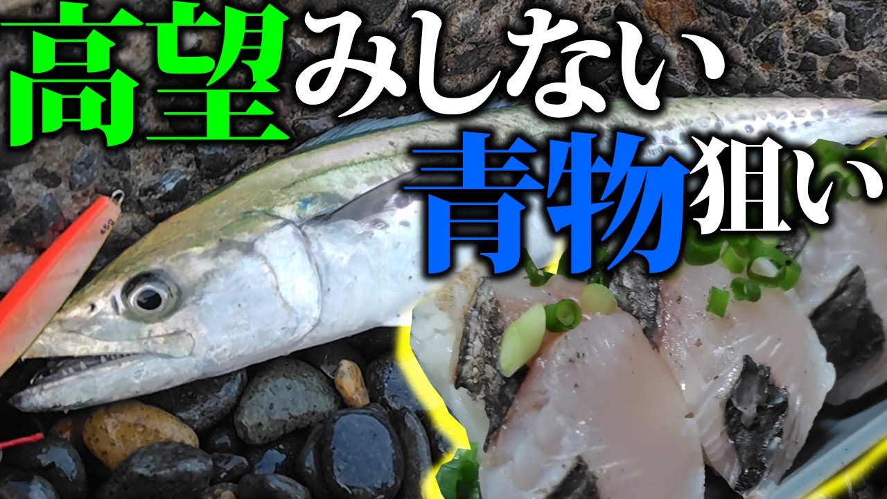 【ショアジギング】高望みしない青物狙い