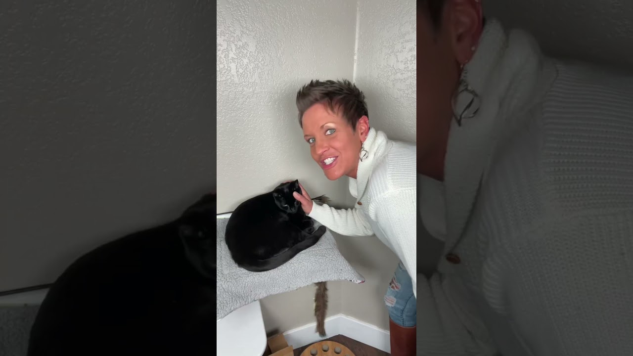 The Bald Patch Around A Cats Ears | Two Crazy Cat Ladies