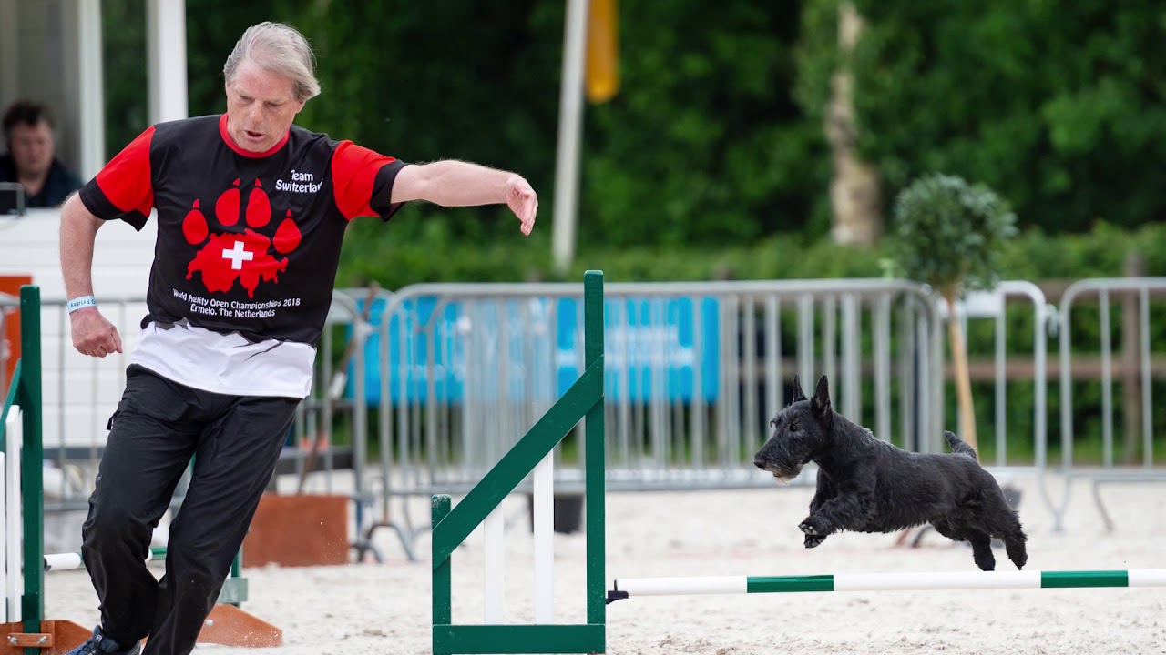 Scottie Hitchcock - 11 years - World Agility Open 2018