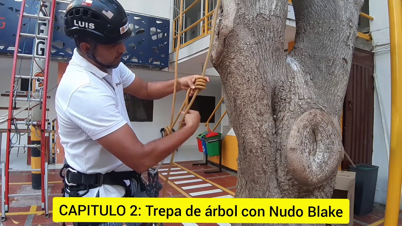 Cap 2: Trepa de árbol co  Nudo Blake