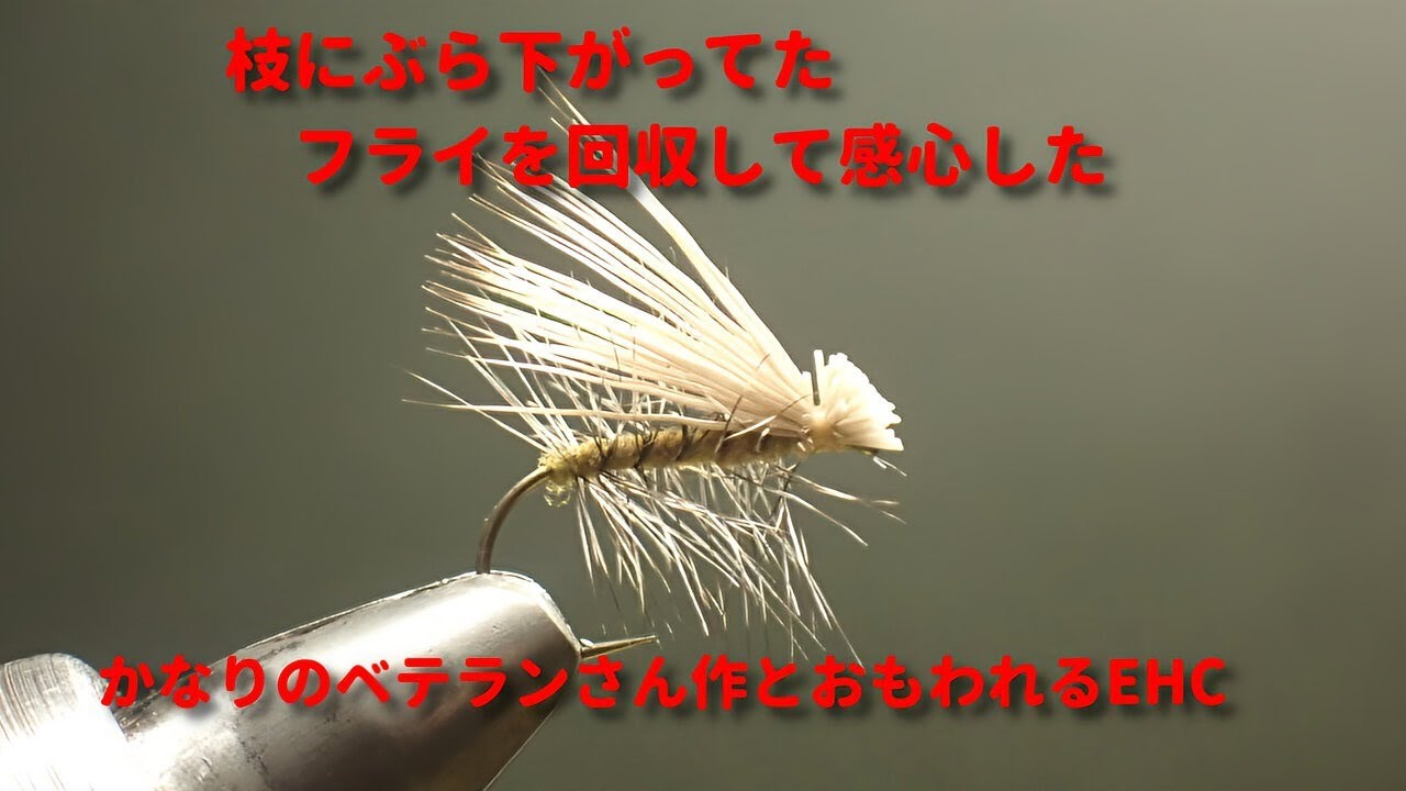 凄い考えられた拾ったエルクヘア・カディス