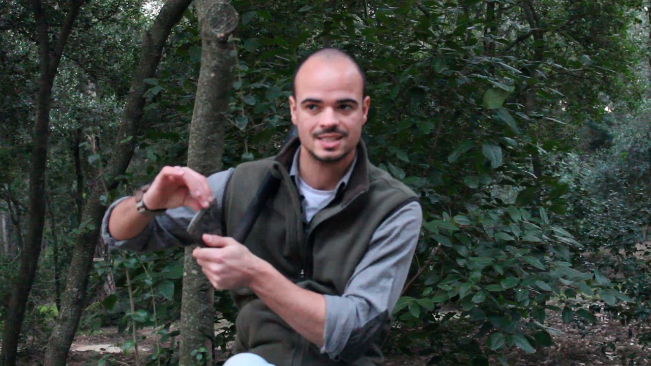 Como afilar el hacha!! 🌲🌲www.PlayD.es Cursos de Supervivencia y Bushcraft en Barcelona Catalunya