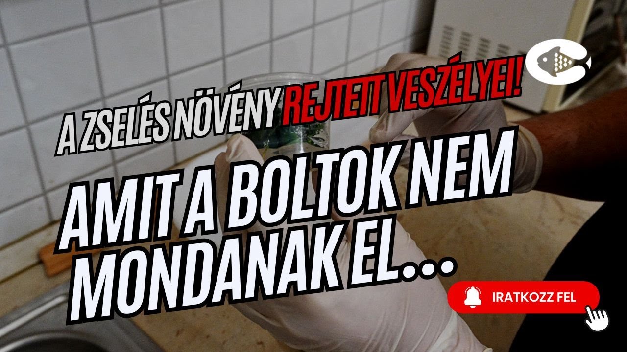 A zsel&eacute;s n&ouml;v&eacute;ny rejtett vesz&eacute;lyei!  Amit a boltok nem mondanak el&hellip;