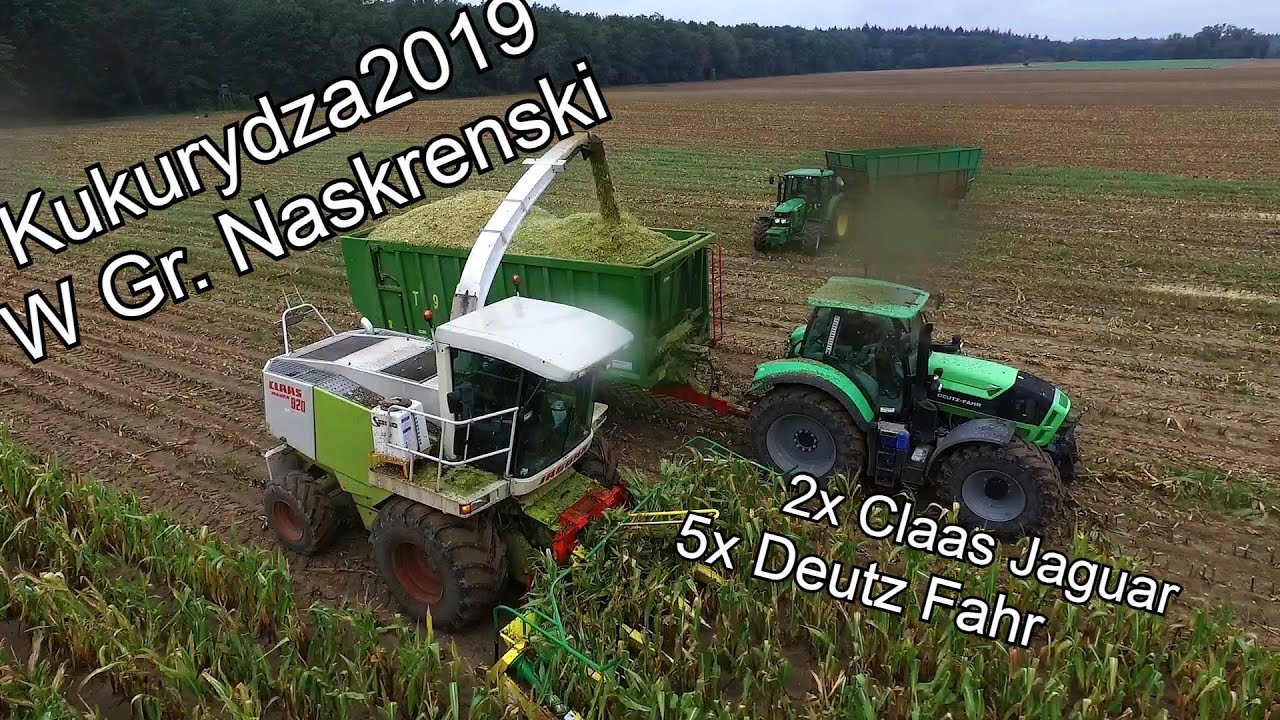 Kukurydza 2019 na 2 Jaguary w Gr. Naskrenski | 5x Deutz-Fahr