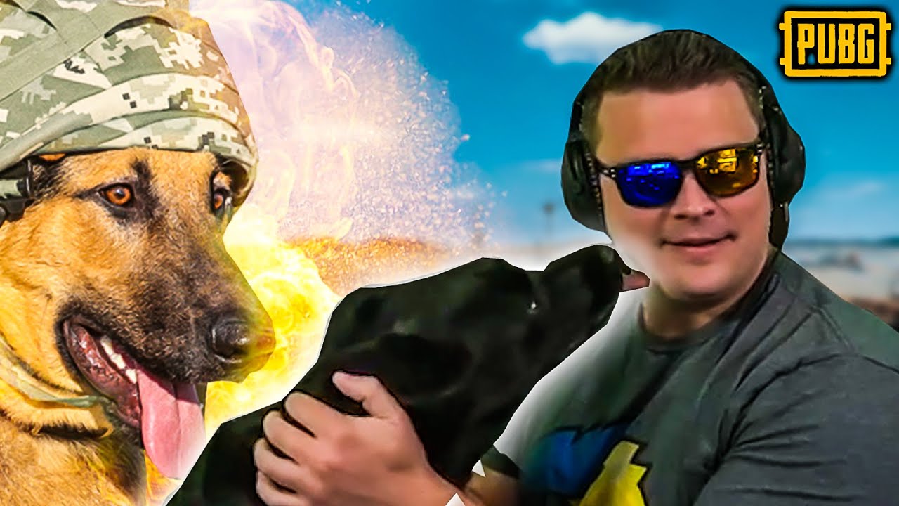 DOGS Mean DUBS - PUBG