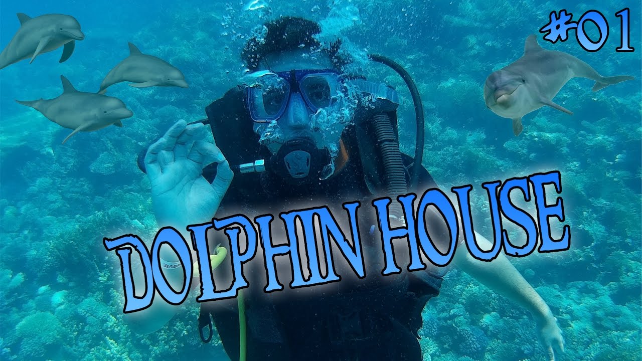 ► Bolto taucht | Tauchen im Dolphin House | &Auml;gypten | Tauchgang #1