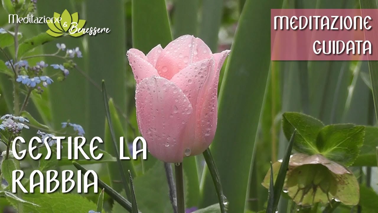 Gestire la Rabbia | Meditazione Guidata
