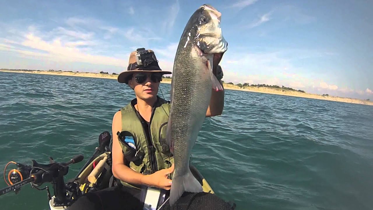 Pêche aux leurres: bars et orphie en kayak / île de Ré 2014