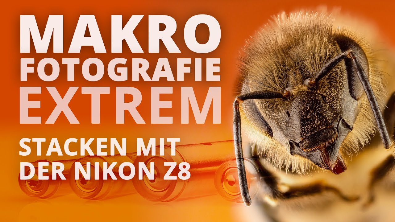 Makrofotografie extrem - Stacken mit der Nikon Z8 – Fotostories