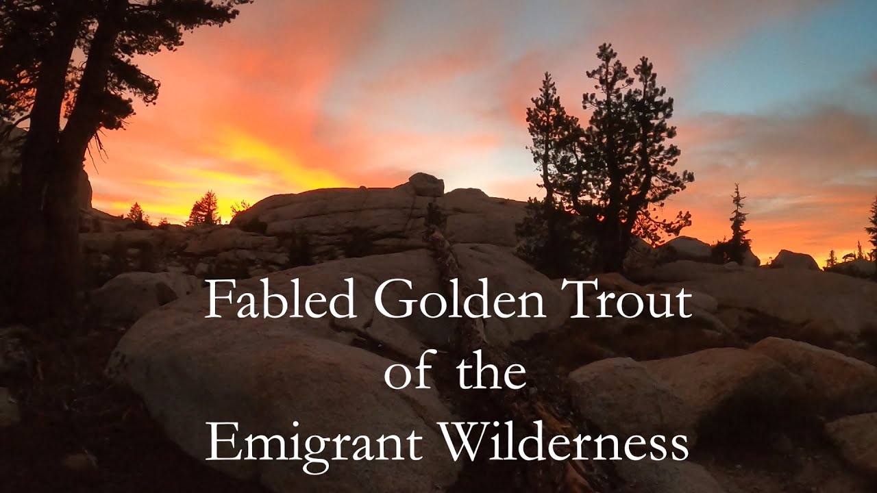 Fabled Golden Trout of the Emigrant Wilderness (Part I) - Solo Backpacking Fly Fishing