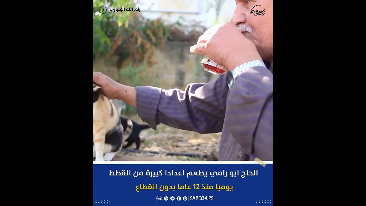الحاج ابو رامي يطعم اعدادا كبيرة من القطط يوميا منذ 12 عاما بدون انقطاع ...