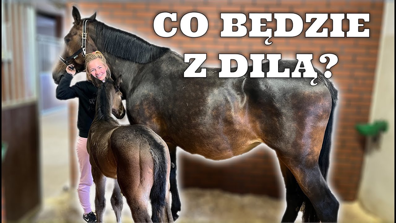 DILA PONOWNIE W KLINICE