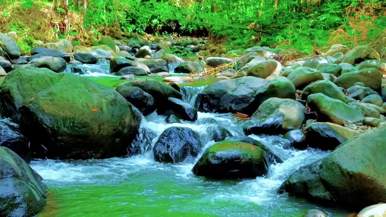 Calming River Sounds for Deep Sleep 🌊 1 Hour Natural Water Ambience
