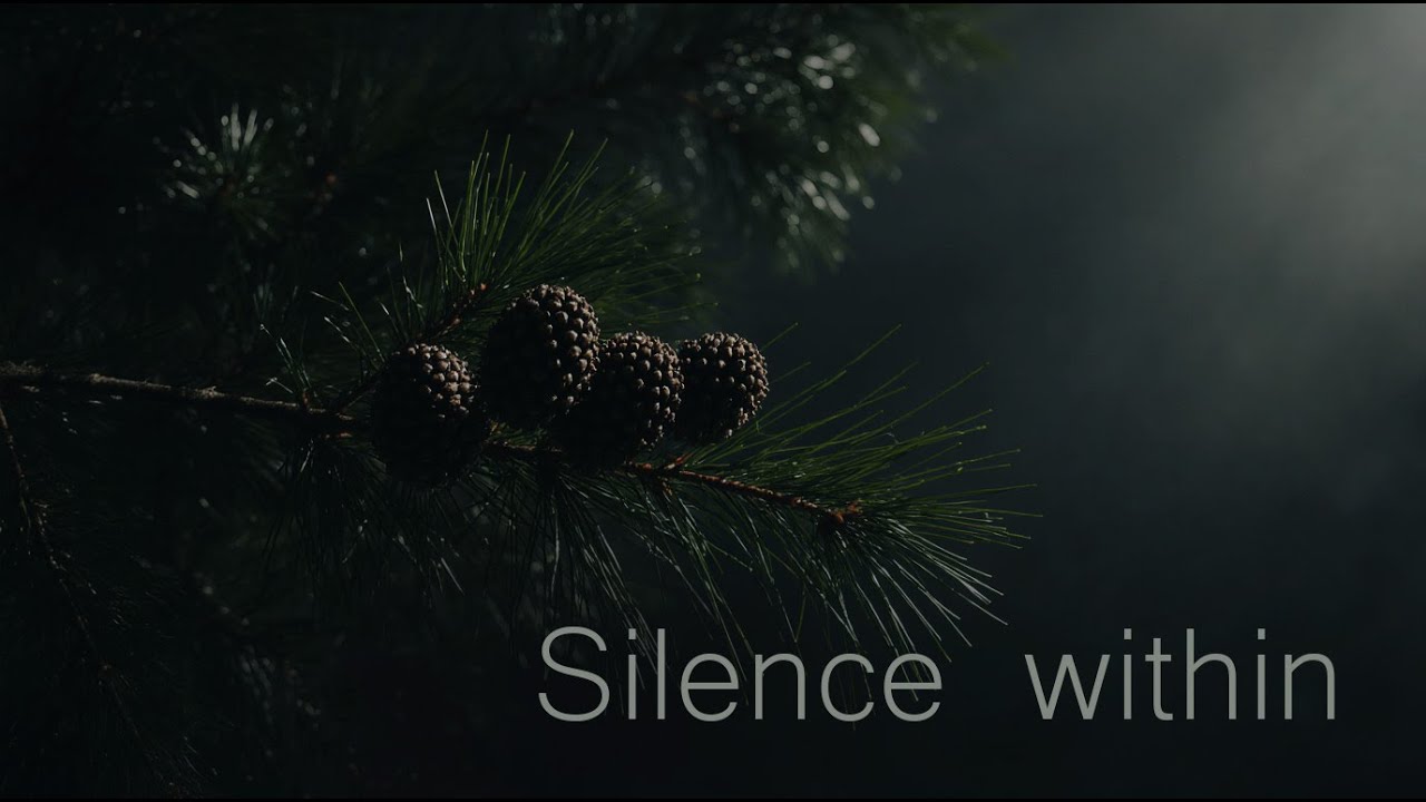 Silence Within - The Beginning🌿 / Healing Sound / Neuromusic / Deep Peace