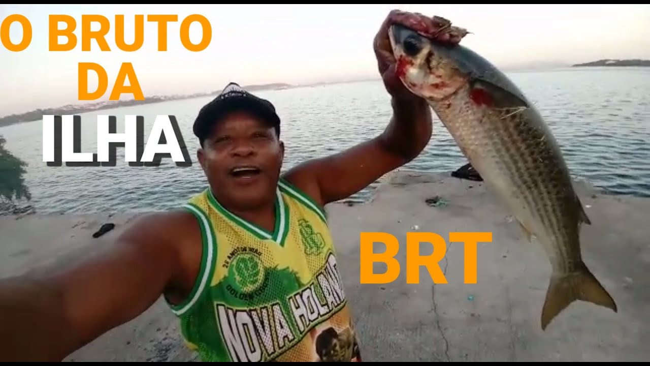 PESCARIA NO BRT DA ILHA DO GOVERNADOR  - MUITA AÇÃO DE PEIXES !!!