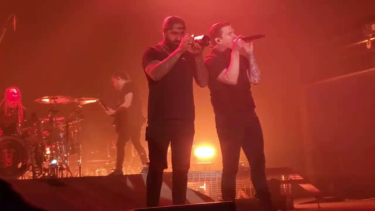 Shinedown- Enemies (Full Song Live)