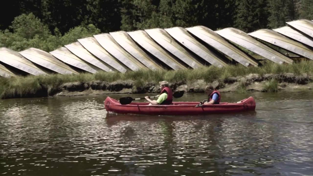 Hume 2016 - Ponderosa Week 1 Wrap Up