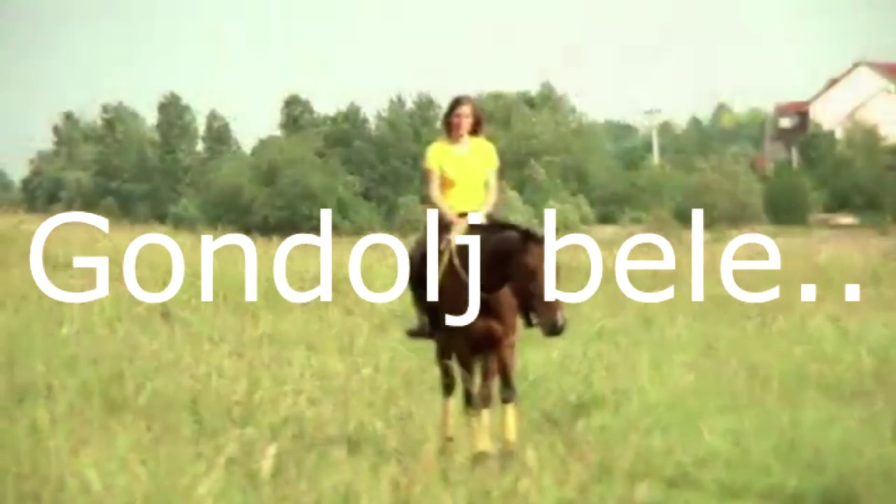 Azt hiszed a lovaglás könnyű?