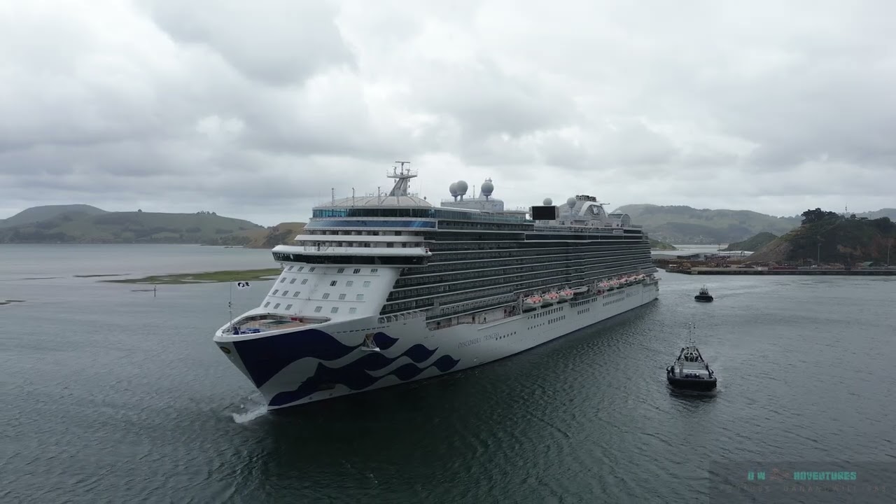 Discovery Princess, Dunedin Harbour, on a wet day, December 30th, 2025