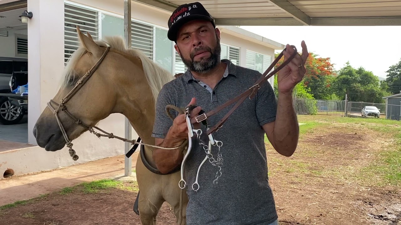 Las Llaves del Caballo 