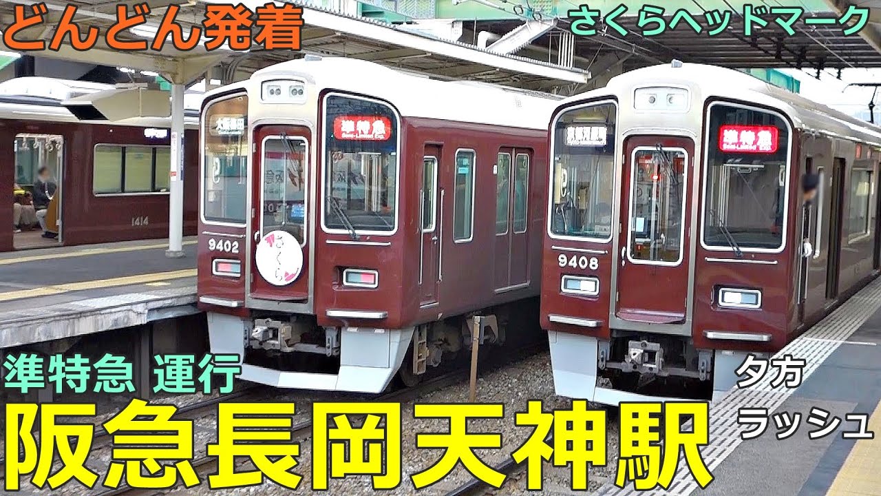 阪急長岡天神駅 3🚃どんどん電車が発着！●準特急、準急、さくらヘッドマーク、ミッフィー号、回送通過 等（夕方ラッシュ 京都線）