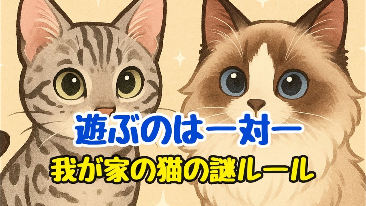 猫ルールなのかな？
