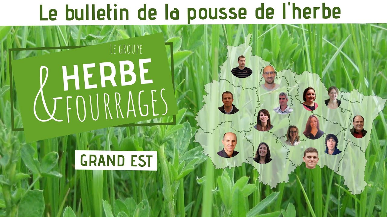 Conduite de prairie : le bulletin de la pousse de l'herbe, un outil pour la gestion au quotidien