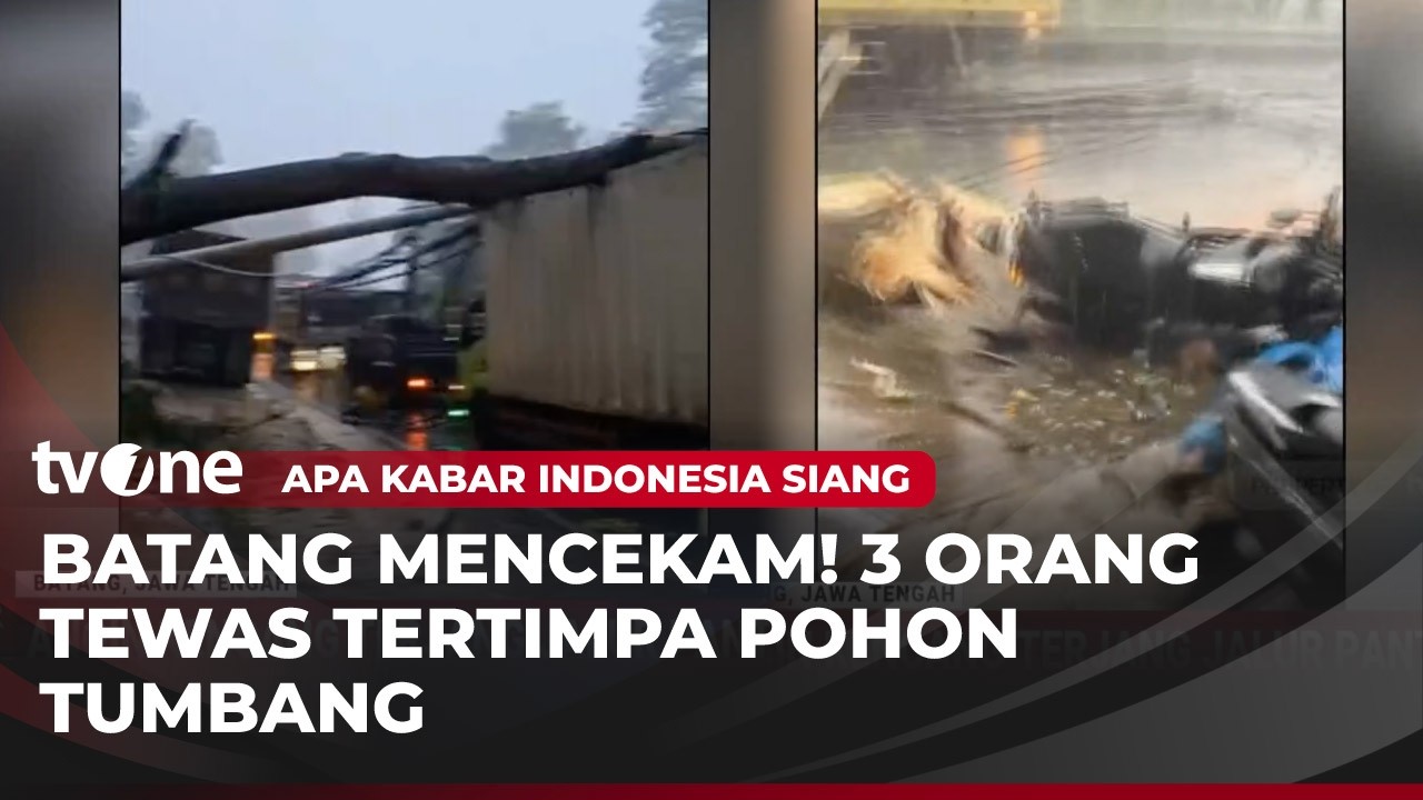NGERI! Tiga Orang di Jateng Tewas Akibat Pohon dan Tiang Listrik Tumbang | AKIS