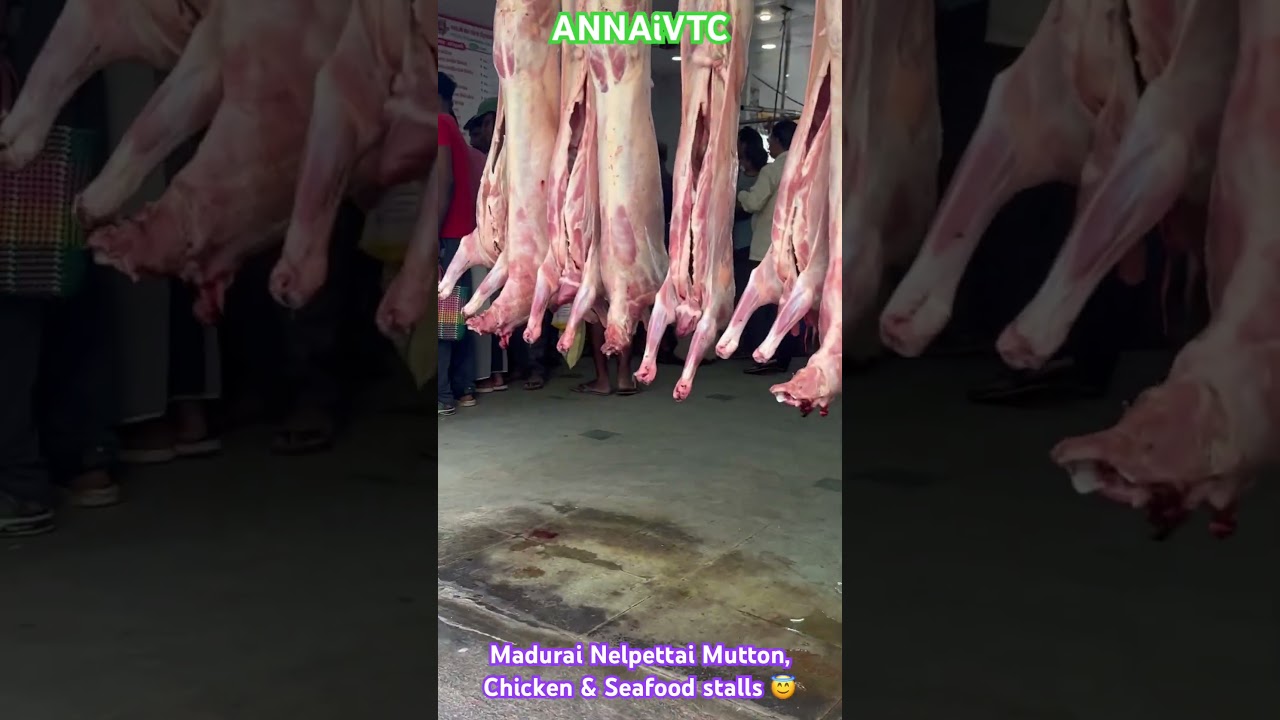 🔥#Madurai🔥| Nelpettai #fishmarket #mutton @ANNAiVTC #2024 #NonVeg #ytshortsfeeds #trending #reels