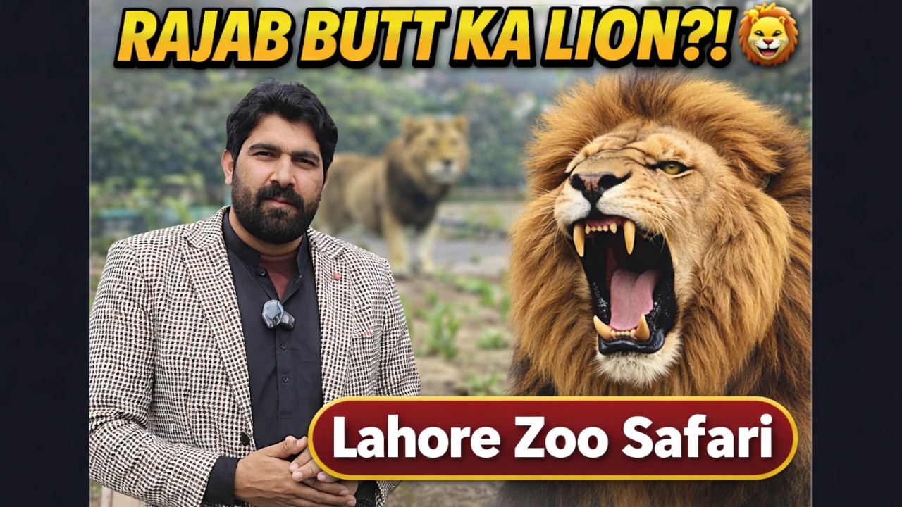 Rajab Butt Ka Lion?! 🦁 | Lahore Zoo Safari Full Vlog