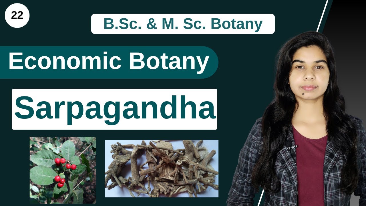 Economic Botany || Medicinal Plants || Sarpagandha || Rauvolfia serpentina || B. Sc. & M. Sc.