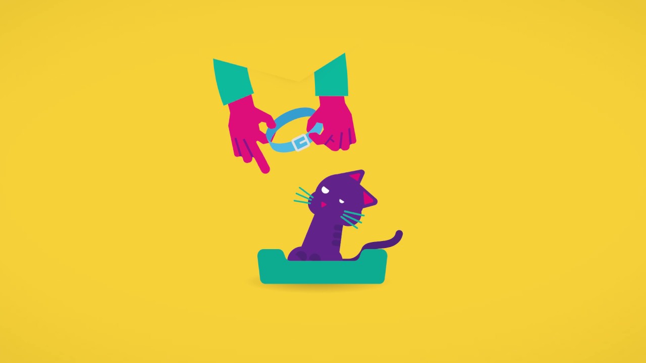 Consent-quoi ??? Campagne de sensibilisation sur le consentement