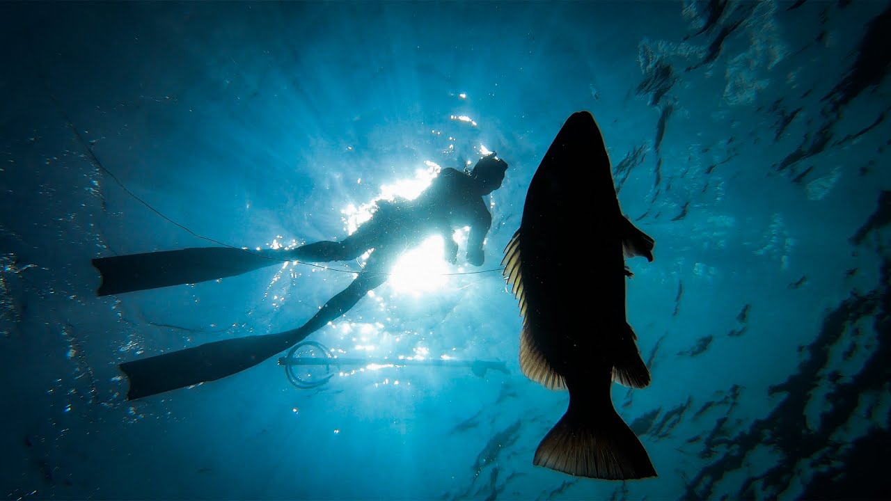 SPEARFISHING Offshore Reefs for SNAPPER and GROUPER