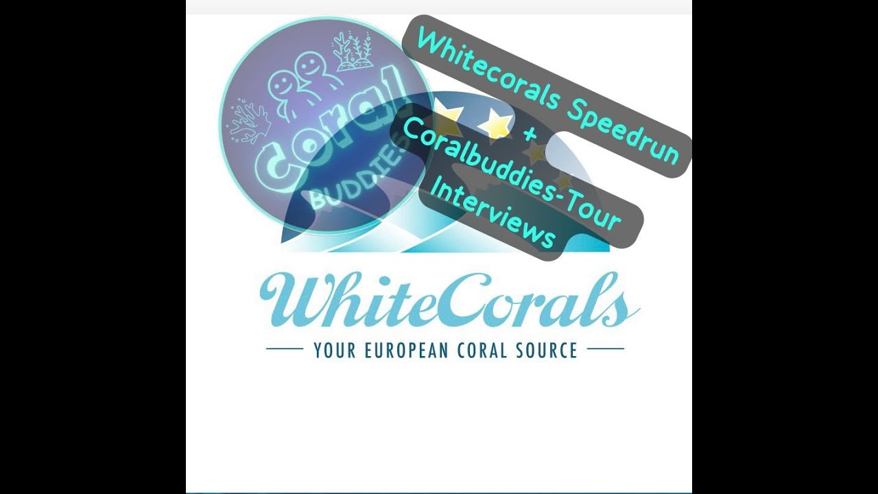 Whitecorals Speedrun und Coralbuddies Interviews vor der Reefmania