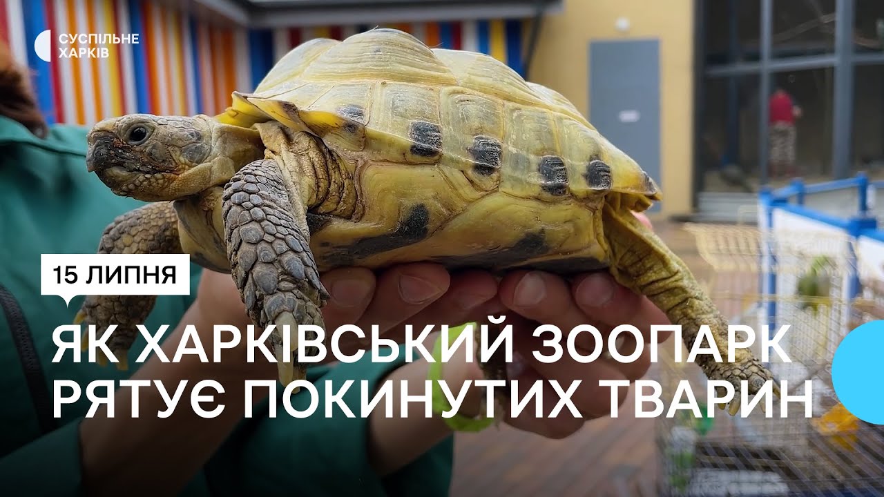 Кролики, їжаки, таргани: зоопарк прийняв тварин, власники яких евакуювалися з Харкова