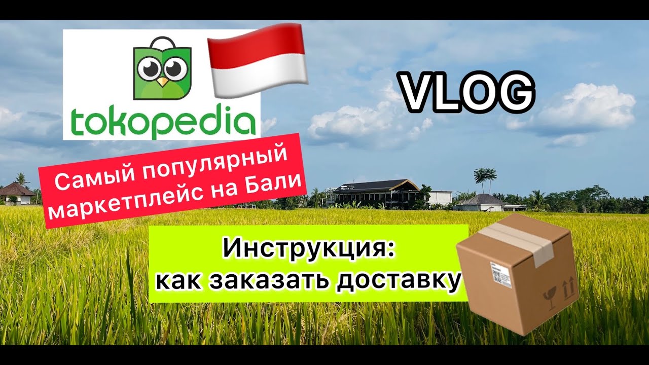 Как сделать заказ на #TOKOPEDIA / #Bali
