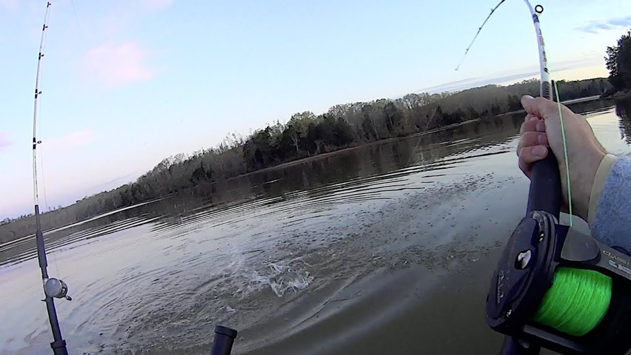 Tis the Season for BIG Catfish