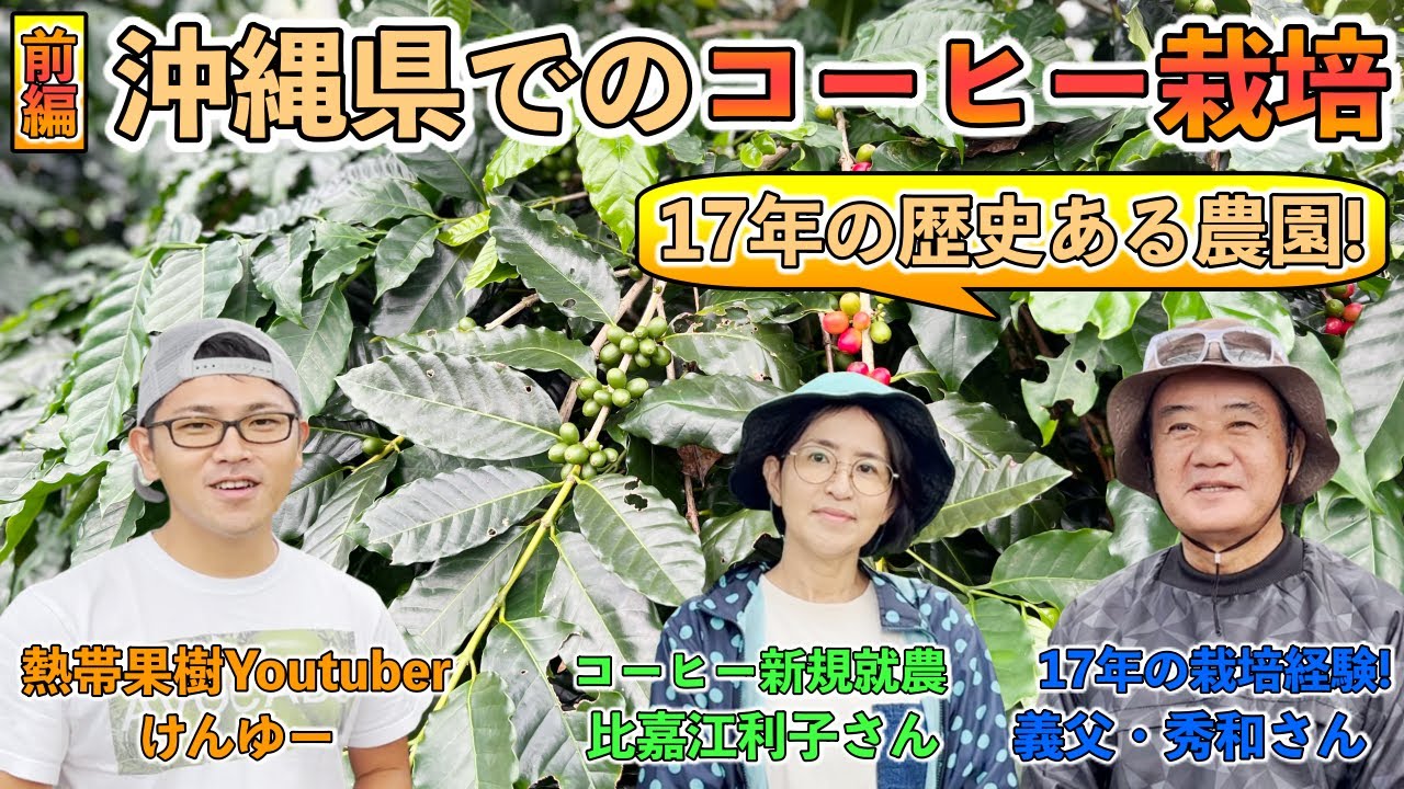 【沖縄コーヒー】17年の歴史！やんばるでコーヒーの無農薬栽培！【ハーモニーファーム 比嘉さん 1】