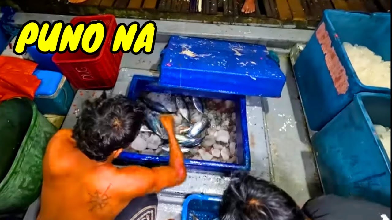 P11 - NAPUNO NA ANG ISANG BODEGA - EP50