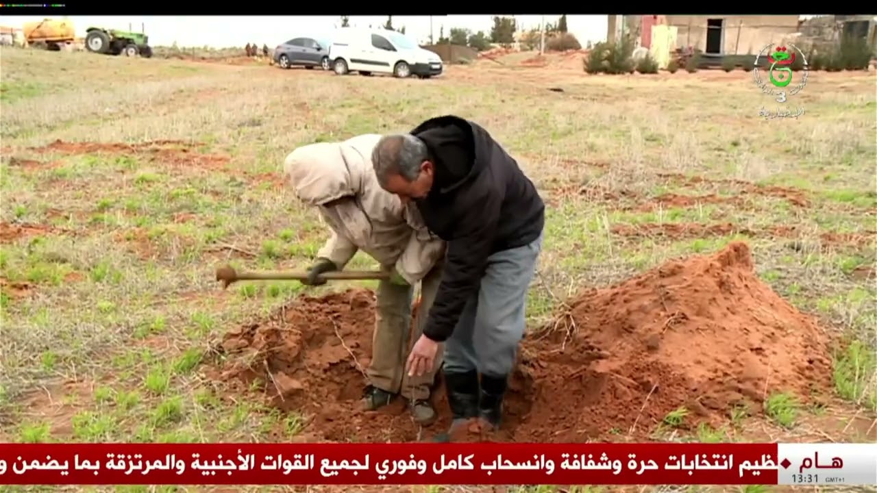 سعيدة - فلاحة | انطلاق عملية غرس الأشجار المثمرة تعزيزا للإنتاج الفلاحي