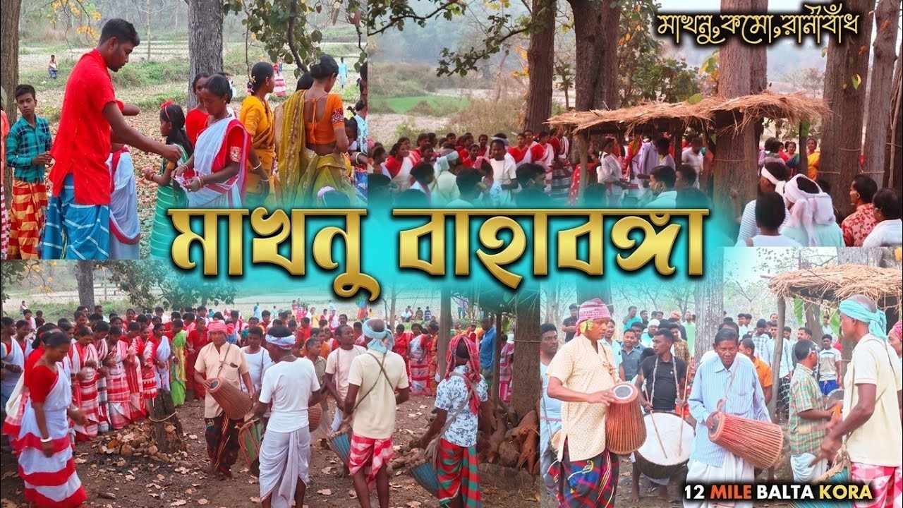 Makhnu Baha bonga 2026 || মাখনু বাহা বঙ্গা ২০২৬ || santali baha bonga video || 12 mile balta kora 