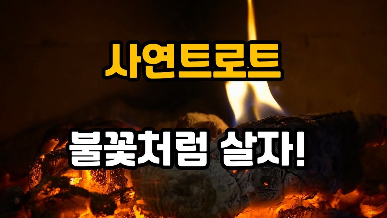 불꽃처럼 살자! (사연트로트)