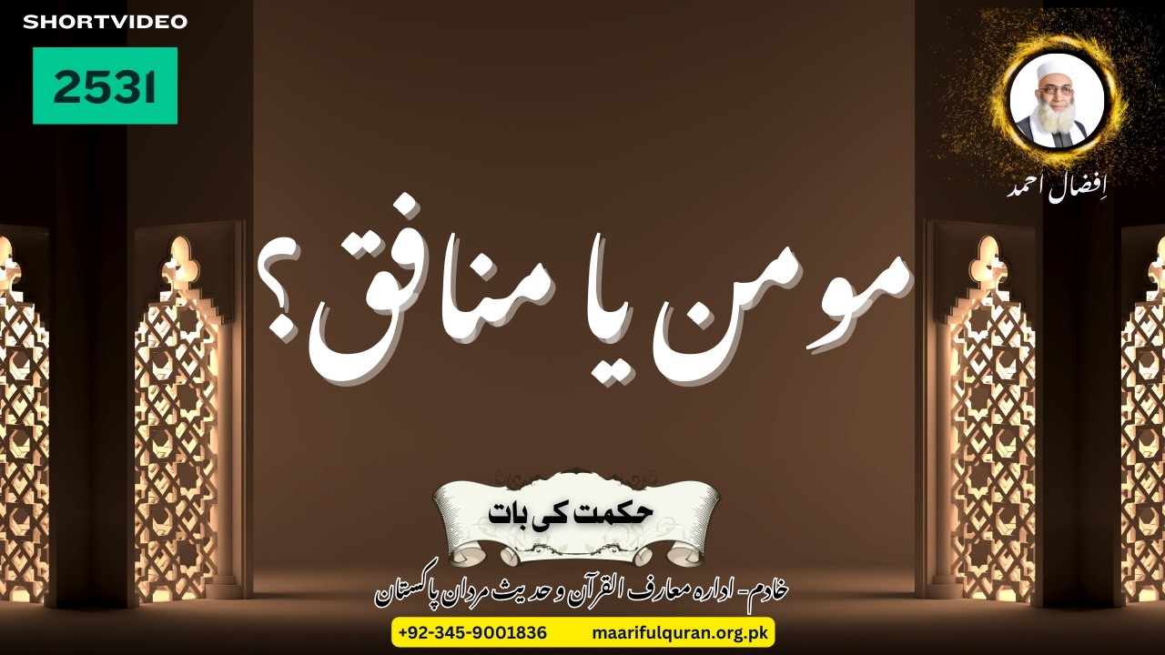 حکمت کی بات - مومن یا منافق؟