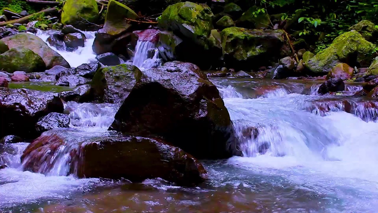 Sleep Instantly with Forest Creek Water | Soothing White Noise for Stress Relief