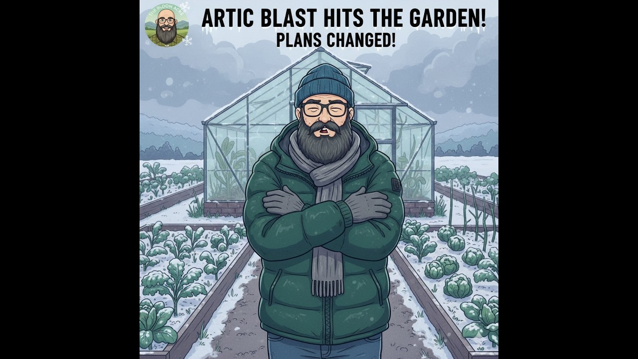 Arctic Blast Ruined My Plans! (What Now?)