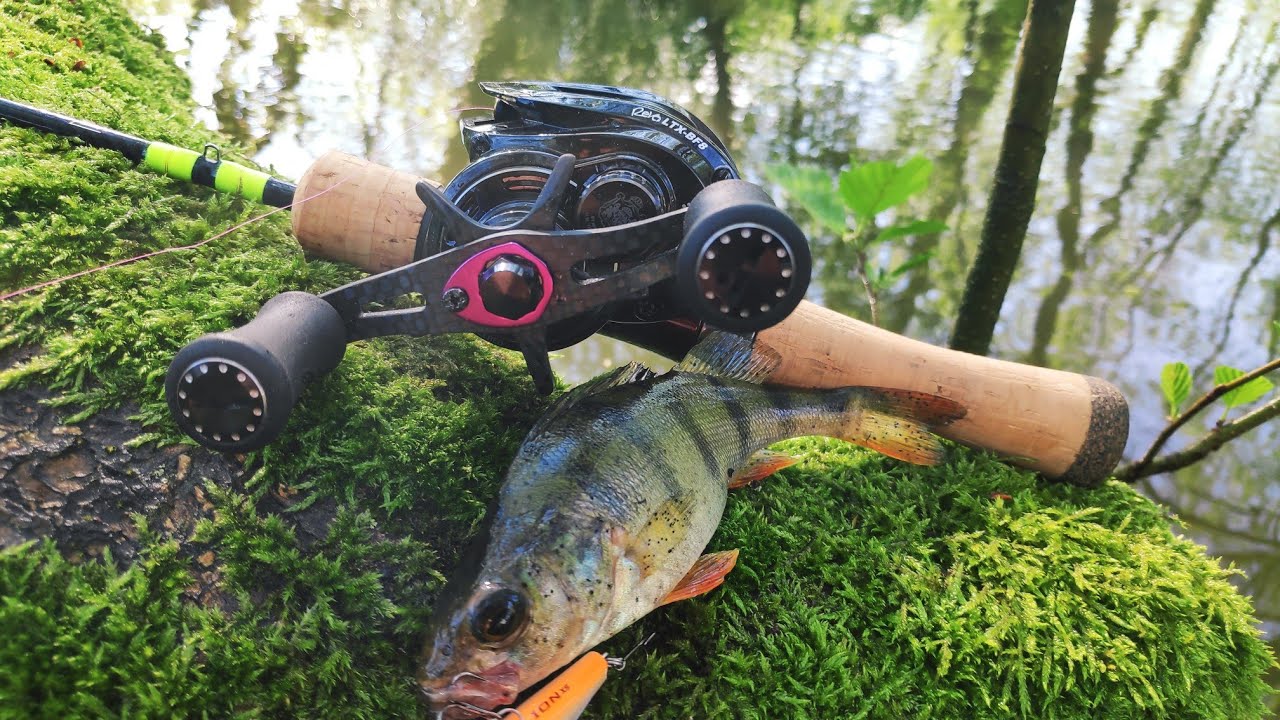Успеть до дождя  ABU Garcia Revo LTX BF8 заброс в кустах 1 грамм или 2 грамма  На что она способна