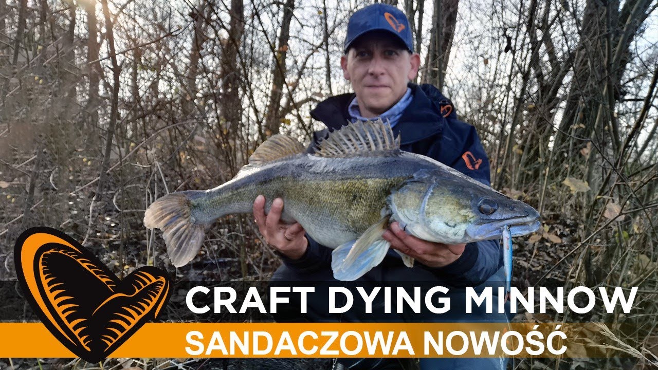 Craft Dying Minnow - sandaczowa nowość.